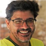 Profesor de Historia a todos los niveles